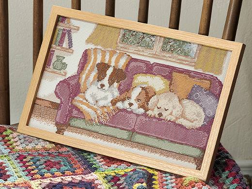 Happy Dog Life オンラインショップで10月9日(金)発売 店舗は10月10日(土)発売