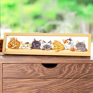 猫あそび